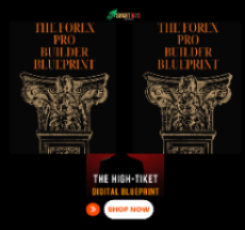 THE FOREX PRO BUILDER BLUEPRINT